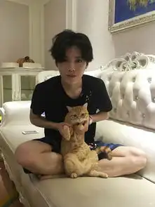 你收藏了哪些有关猫的好看的图片
