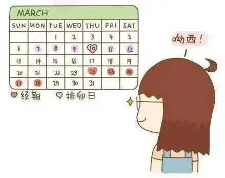 人工受精与人工授精,仅一字之差,却有着不小的区别
