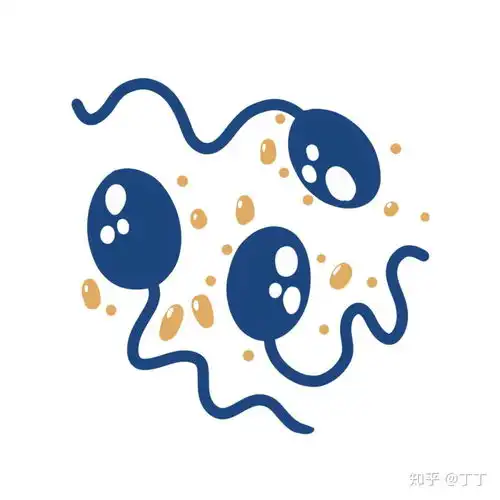 老公精子质量不高,怎样提高精子质量呢
