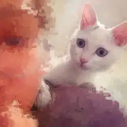 完全是猫妈妈心态
