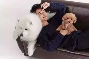 他是孙俪周迅的初恋,如今又撩上了大幂幂
