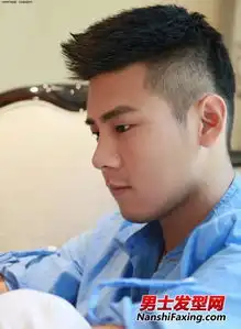 这是什么头型
