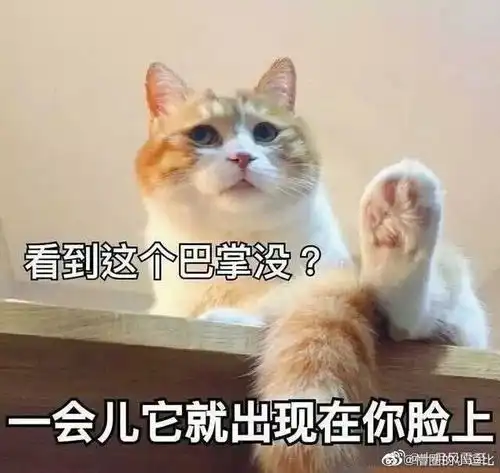 直男生存大挑战,今年情人节想要通关全靠这一篇了
