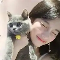 抱着孩子的情侣头像猫咪