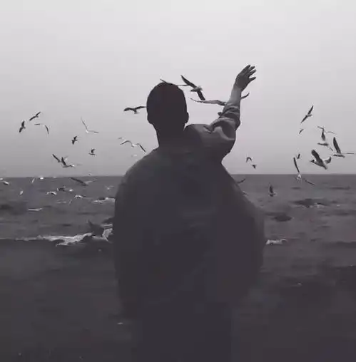 头像他想出轨跟你优不优秀没关系
