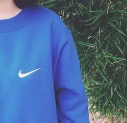 找一个和下图相似的男头像蓝色耐克谢谢
