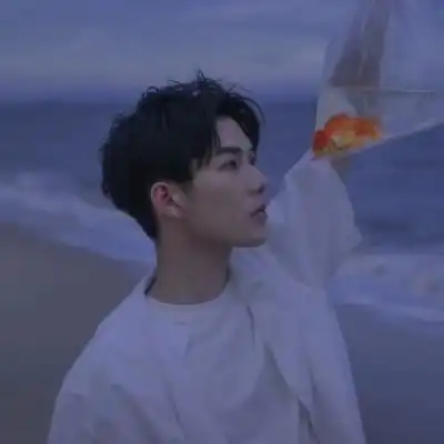 有哪些很有品味的男头
