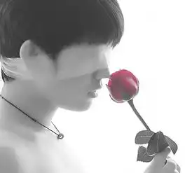 求下面这张图片的超清晰大图版,跪求,越清晰越好,最起码也要比这个清晰
