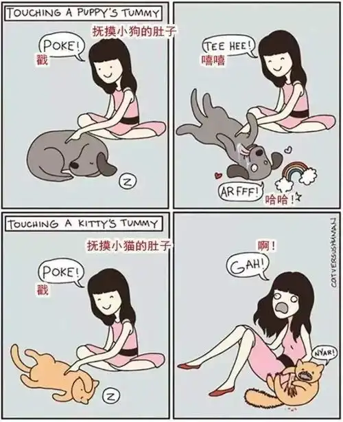 20张猫狗的行为对比图,养狗和养猫就像同一时空的不同故事线
