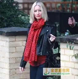 明星街拍中人气最火的手袋图
