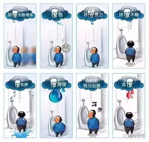 前列腺让男人尴尬与头痛的腺,你有吗
