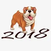 2018狗年最火爆微信头像微信头像图片大全

