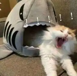 晋江,你膨胀了我们采访了100个晋江90后发现......
