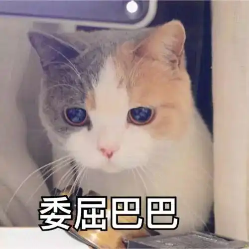 爱不间断丨一场惊喜满满的节日互动,有你在吗
