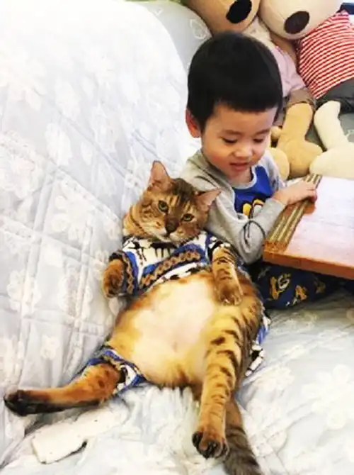 自从猫咪进门后,男子地位直线下降,看他现在的睡姿,都让人心酸
