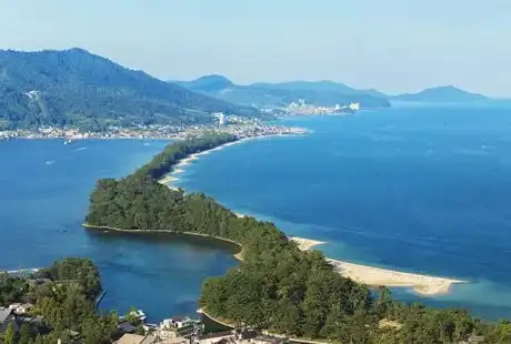 日本蛙火爆朋友圈,今天你氪金了吗
