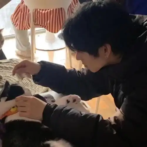 气质男头少年感和氛围感并存
