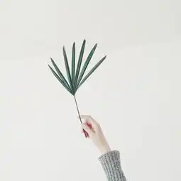 早安心语181128喜欢也好爱也好,那个人是你就好
