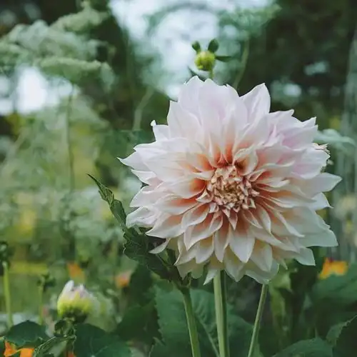 男人没将这3样东西给你,他的真爱只是说说而已,别不知道
