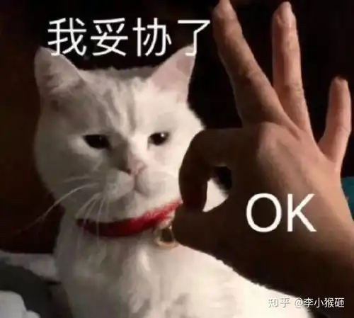 一个女生该有哪些优秀习惯

