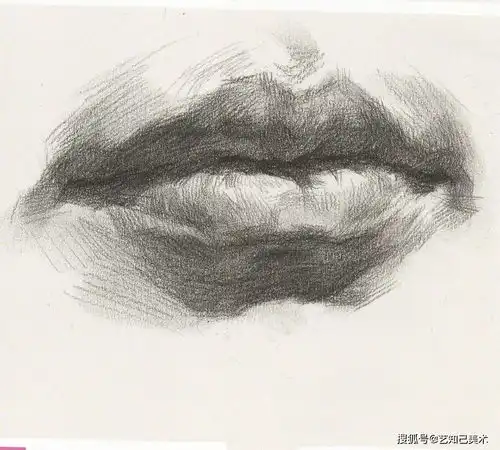 素描唇部如何画好这些要点要记牢
