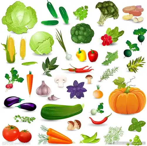 ai矢量绿色蔬菜图片设计图
