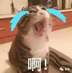 蒋劲夫再度家暴后一边发律师函否认,一边交上了韩国新女友
