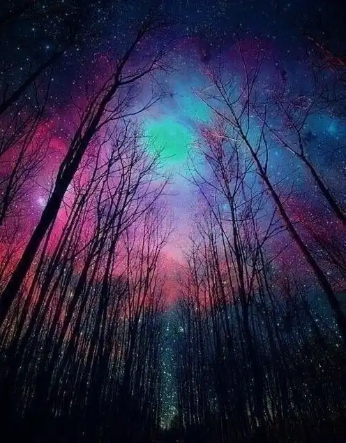 人生就是这样,处同样的位置,有人哭,有人笑,有人沉默
