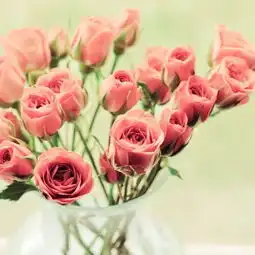 堆糖,美好生活研究所
