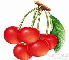 孕妇要怎么补血
