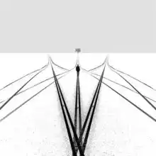 艺术美极简约的黑白艺术摄影作品赏
