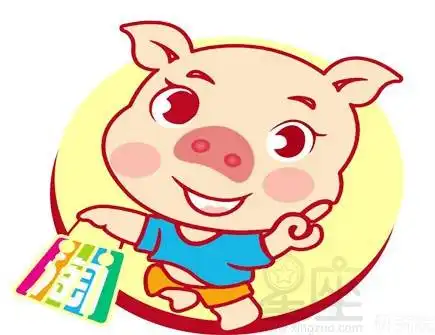 属猪运势如何改善属猪的怎样改善好运
