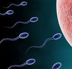 人造精子
