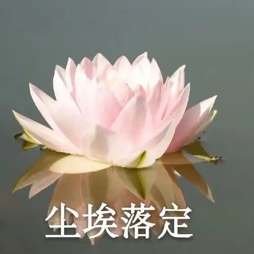 快和你的老姐妹安排上
