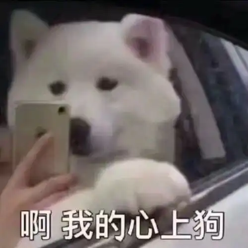 男生怎么看待追自己的女生
