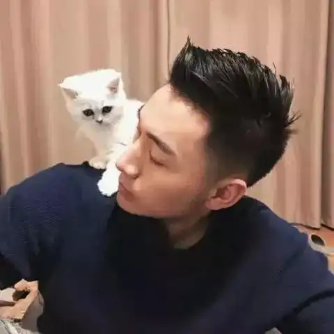 一夜之间,时髦的男生都剪这个发型
