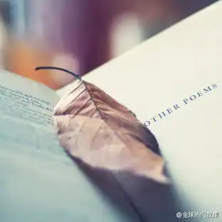 有人说,希望每个人死后身体都能自动变成一...搞笑微博精选
