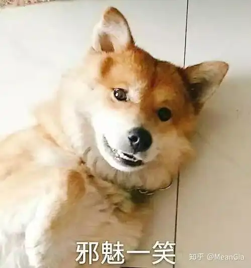 有个问题狗,是否知道自己是狗
