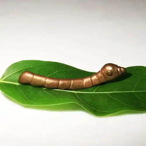 挖出镀金虫子,结果是国家一级文物,农民获奖百元
