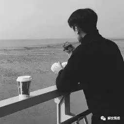 婚姻的世界中,人为什么会出轨
