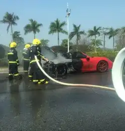 情人节男子开五百万保时捷赴约车起火玫瑰被烧焦

