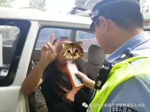 镜头下的v手势
